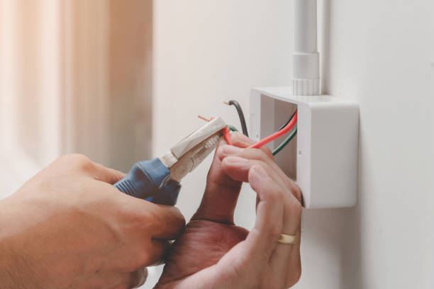 Best Electrical Panel Upgrades  in Limon, CO